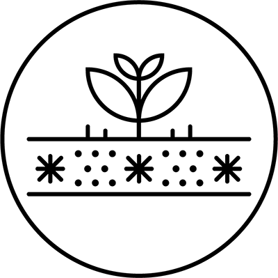 tricho działanie 2