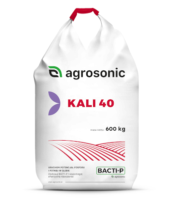 kali 40