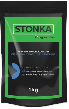 stonka