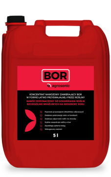 bor